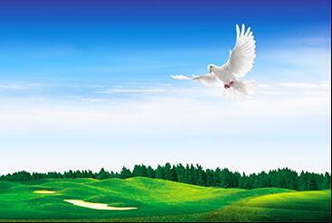 浙江發(fā)布全國首個(gè)省級環(huán)保設(shè)施公眾開放地方